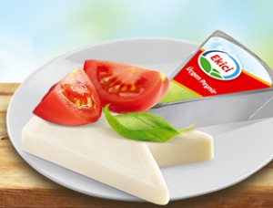 SPREADABLE TRIANGULAR CHEESE 